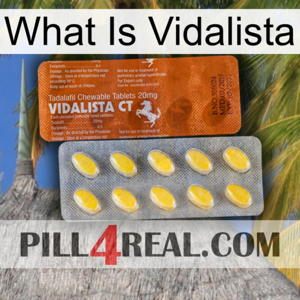 What Is Vidalista 42.jpg